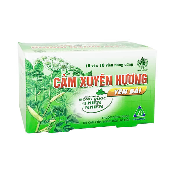 Cảm Xuyên Hương Yên Bái (vỉ) - Đánh bay cảm cúm