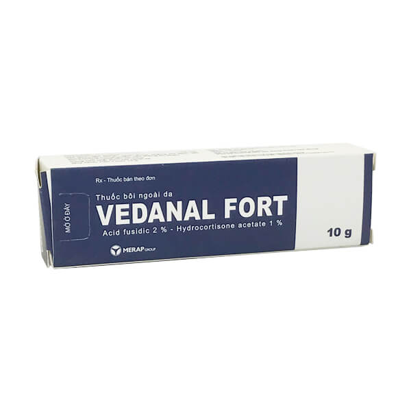 Vedanal fort