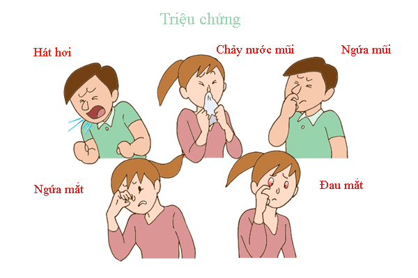 Triệu chứng của bệnh viêm mũi dị ứng