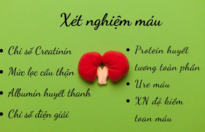 Các xét nghiệm máu đánh giá suy thận