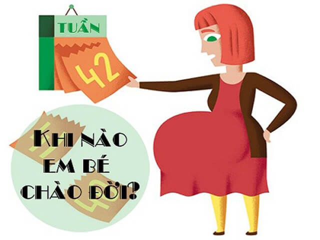 Ngày dự sinh có thể bị ảnh hưởng bởi nhiều yếu tố
