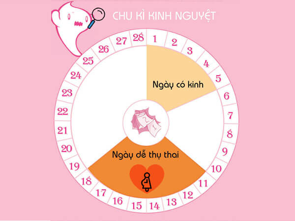 Tính ngày dự sinh dựa vào ngày rụng trứng