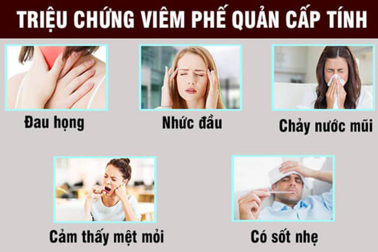 Triệu chứng viêm phế quản cấp tính
