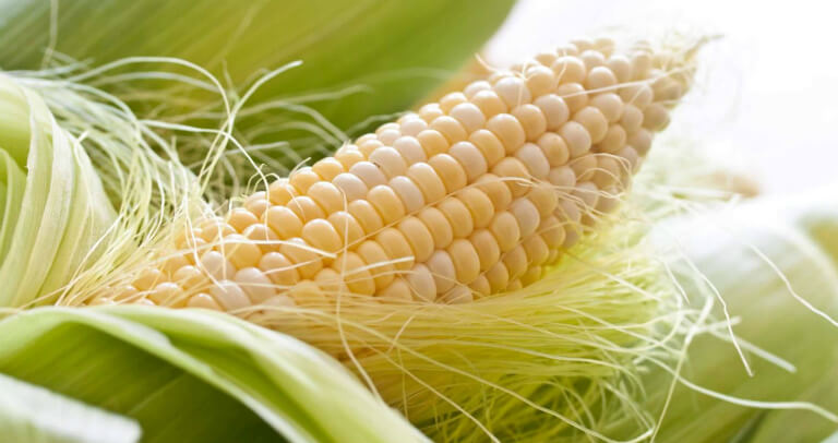 Râu ngô chữa sỏi thận
