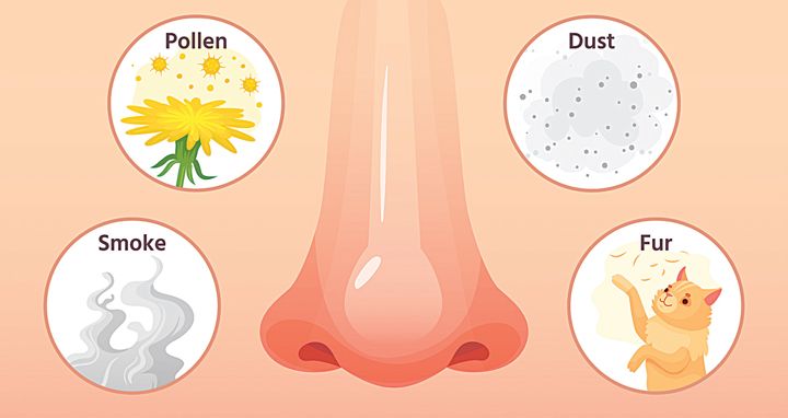 Một số dị nguyên gây dị ứng như khói bụi, lông động vật, phấn hoa…