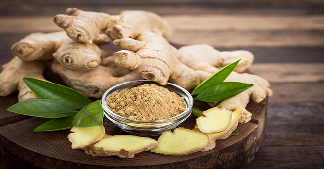Trị ho khan bằng gừng