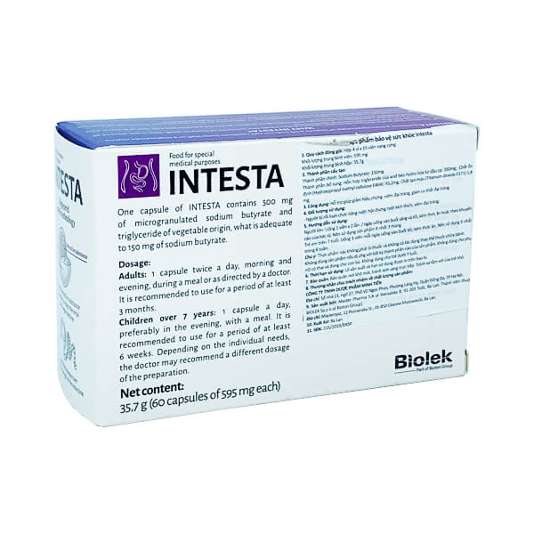 Intesta