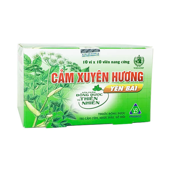 Cảm Xuyên Hương Yên Bái (vỉ) - Đánh bay cảm cúm