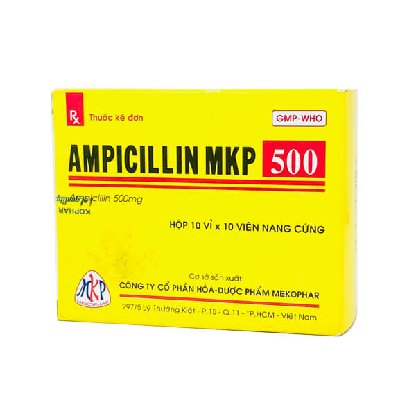 Ampicillin MKP 500