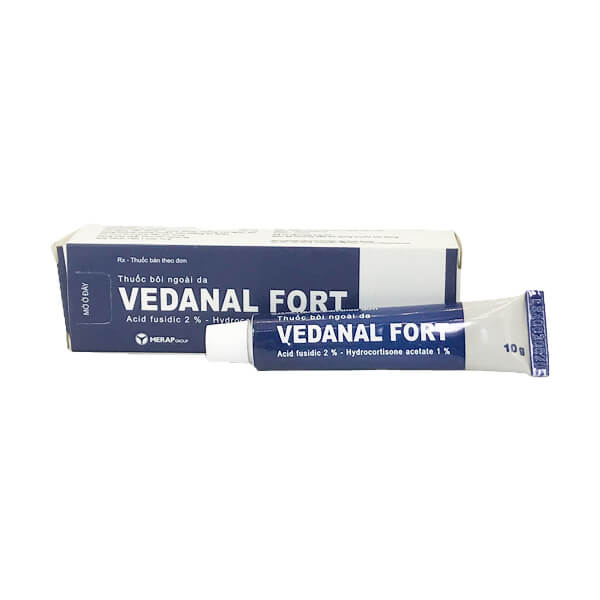 Vedanal fort