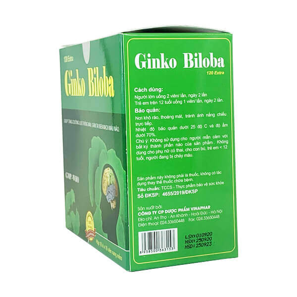 Ginko Biloba Vinaphar