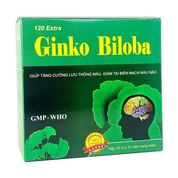 Ginko Biloba Vinaphar