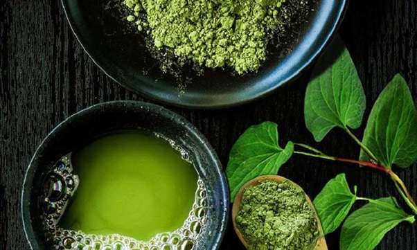 Chữa viêm phế quản bằng rau diếp cá