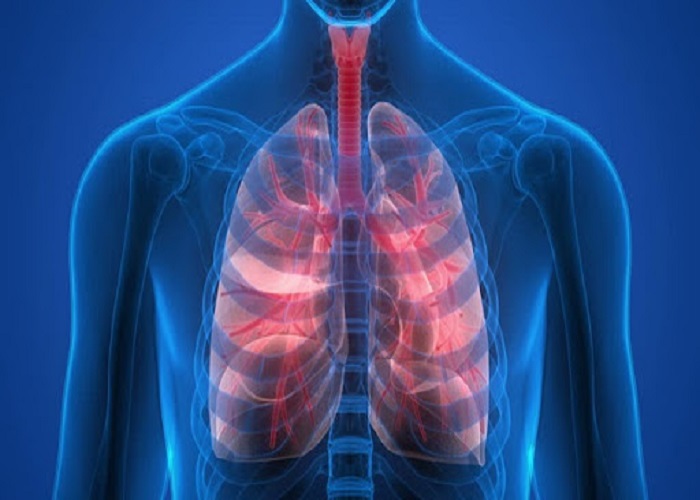 Dấu hiệu viêm phổi