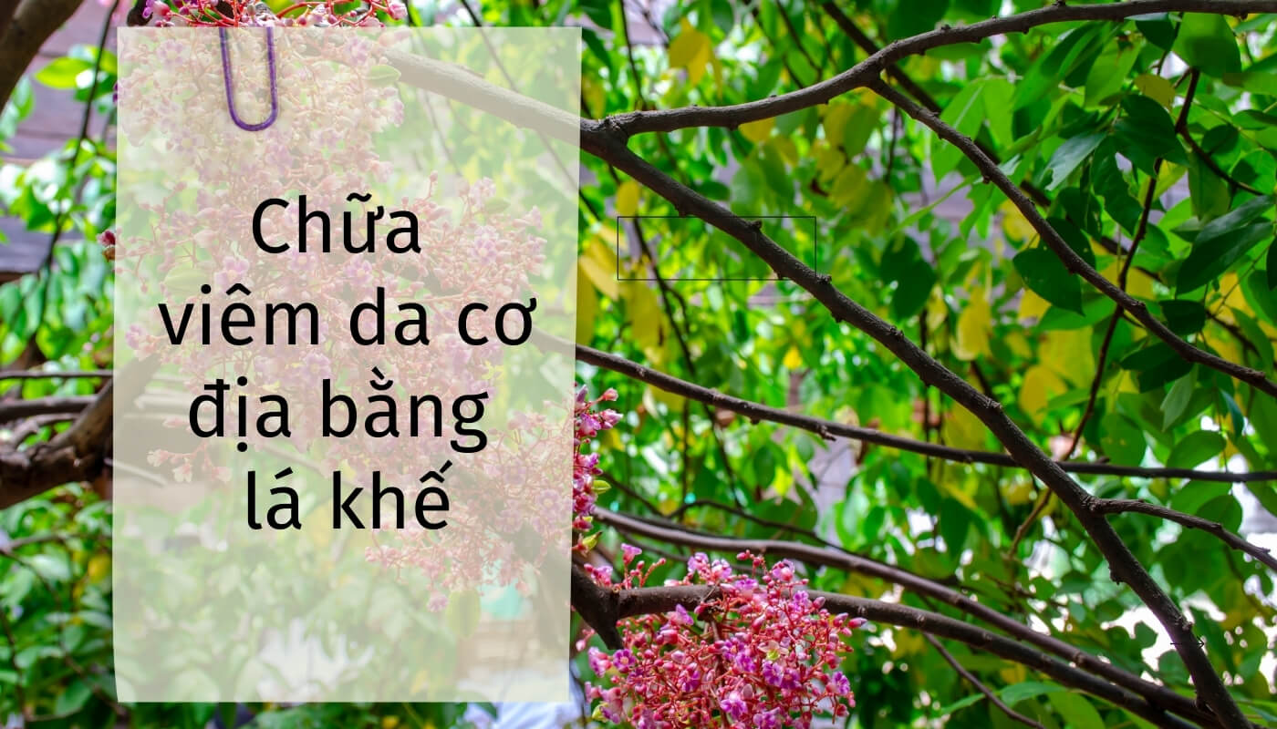 lá khế có tốt cho người viêm da cơ địa không?