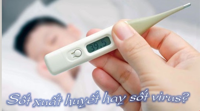 Phân biệt giữa sốt Virus và sốt xuất huyết 