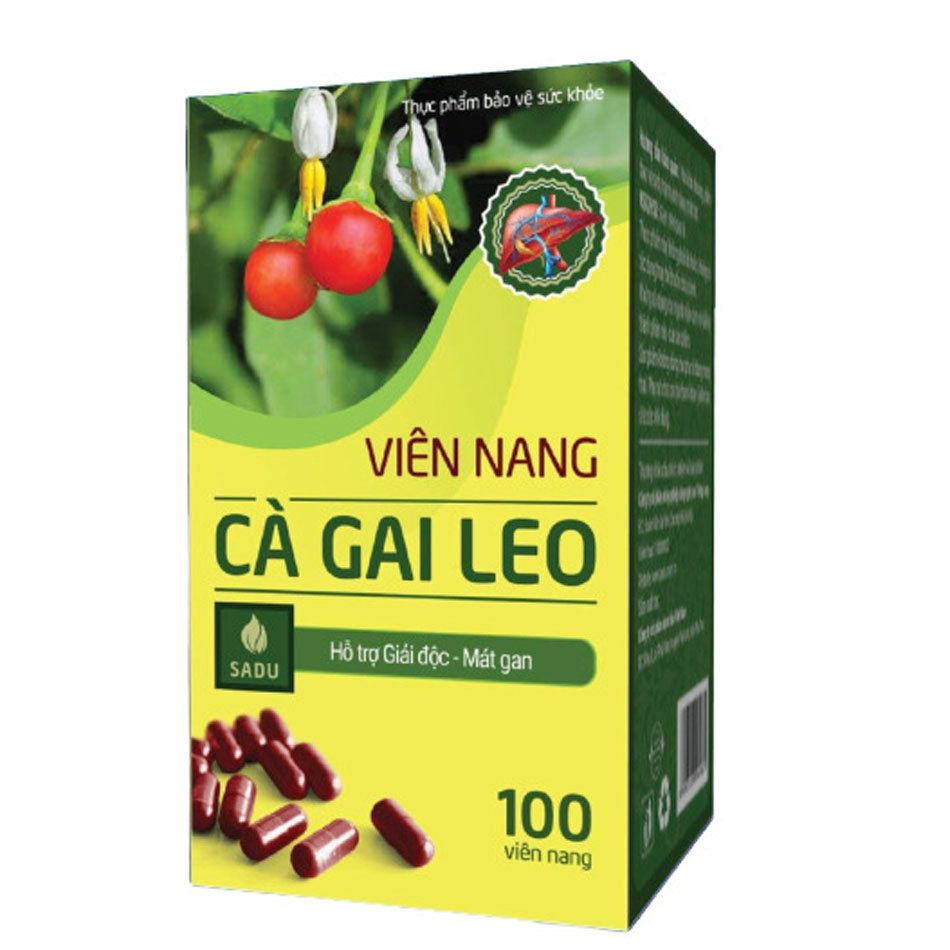 Viên nang Cà gai leo Sadu (100 viên)